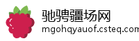 驰骋疆场网